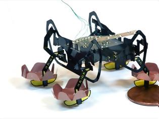Φωτογραφία για Ρομποτική κατσαρίδα για την εξερεύνηση των βυθών