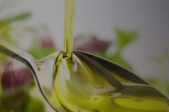 Κρήτη: Σε απόγνωση οι αγρότες της Σητείας…με το ελαιόλαδο στις αποθήκες τους