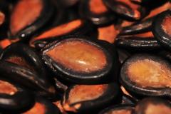 Τα κρυμμένα μυστικά των σπόρων του καρπουζιού!!!