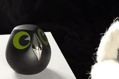 Πώς κρατάει τους κλέφτες μακριά από το σπίτι σας... μια κουκουβάγια;