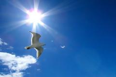 Δελτίο καιρού για Παρασκευή 6/7/2018