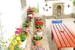 Πώς θα εξασφαλίσεις το πότισμα των φυτών, όταν λείπεις;