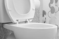 Πώς να καθαρίσετε την τουαλέτα σας με ένα... κατσαβίδι;