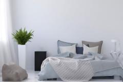 Ποιο φυτό είναι ιδανικό για το υπνοδωμάτιο;