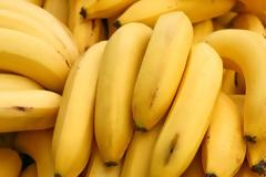 Παγκόσμια ανησυχία: Κινδυνεύουν να εξαφανιστούν οι μπανάνες!