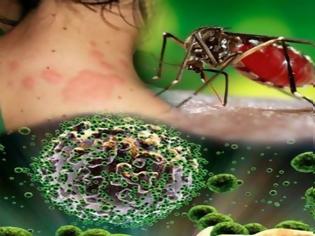 Φωτογραφία για Ιος Δυτικού Νείλου: Αυξάνονται τα κρούσματα, ποια είναι τα συμπτώματα μετά το τσίμπημα των κουνουπιών