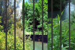 Λαμία: Από τα 