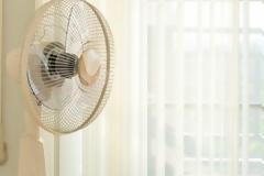 Με αυτό το κόλπο δεν θα ξαναδείτε κουνούπι στο σπίτι σας [video]