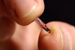 ΧΙΛΙΑΔΕΣ ΣΟΥΗΔΟΙ ΜΕ MICROCHIP ΣΤΟ ΣΩΜΑ ΤΟΥΣ