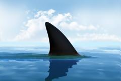 Πού μπορεί να συναντήσεις καρχαρία σε ελληνική θάλασσα;