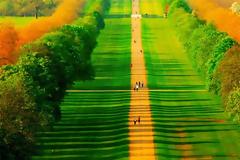 Η φύση μειώνει την εγκληματικότητα! Όλοι στα δάση