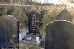 Νεκροταφείο για... ζωντανούς!