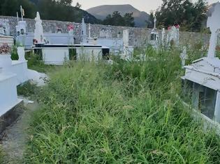 Φωτογραφία για Αγριόχορτα πνίγουν τους τάφους στο ΒΑΣΙΛΟΠΟΥΛΟ Ξηρομέρου (ΦΩΤΟ)