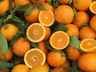 Φωτογραφία για Δεσμεύτηκαν πάνω από δύο τόνοι πορτοκάλια στον Πειραιά