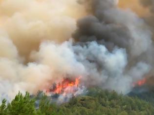 Φωτογραφία για Σητεία: Μεγάλη φωτιά μαίνεται στο Λασίθι