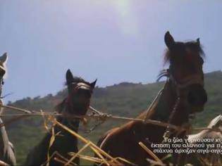Φωτογραφία για Καρύταινα: Αναβίωση παραδοσιακού Θερισμού και Αλωνίσματος με δρεπάνια και άλογα