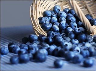 Φωτογραφία για Μύρτιλα (Vaccinium myrtillus) και άγρια μύρτιλα (bilberries) super foods για μεταβολικό σύνδρομο, παχυσαρκία, διαβήτη, καρδιά, καρκίνο, μάτια, αντιγήρανση