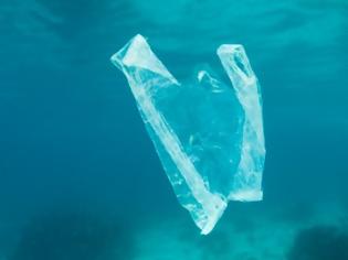 Φωτογραφία για Τα πλαστικά σκοτώνουν τη ζωή στη θάλασσα και οι αριθμοί τρομάζουν