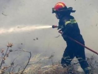 Φωτογραφία για Υπό μερικό έλεγχο οι πυρκαγιές σε Φαλάσαρνα και Αρολίθι