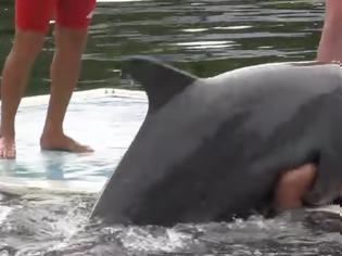 Φωτογραφία για ΑΠΙΣΤΕΥΤΟ!  Δείτε τι κάνει το δελφίνι στην κοπέλα... [video]