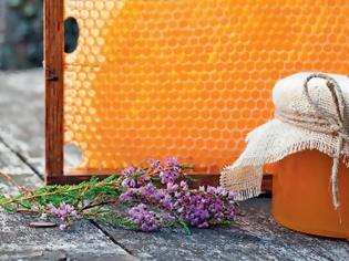Φωτογραφία για Κολικός νεφρού: Τι ρόλο μπορεί να παίξει το μέλι ρείκι