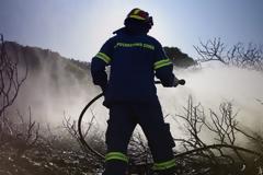 Κρήτη: Πόσα στρέμματα γης κάηκαν από τις χθεσινές φωτιές