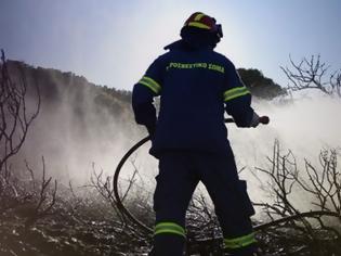 Φωτογραφία για Κρήτη: Πόσα στρέμματα γης κάηκαν από τις χθεσινές φωτιές