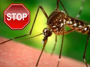 Φωτογραφία για Πώς να προστατευτείτε από τα κουνούπια και απο τις ασθένειες που μεταδίδουν