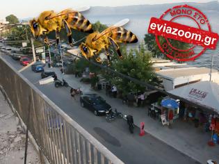 Φωτογραφία για Τραγικό συμβάν στην Αμάρυνθο: Ψαράς έπεσε νεκρός από τσιμπήματα μελισσών που απελευθερώθηκαν από φορτηγό ύστερα από σφοδρό τροχαίο!