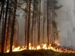 Φωτογραφία για Τεράστιες πυρκαγιές στη Σουηδία - Καύσωνας στην Φινλανδία