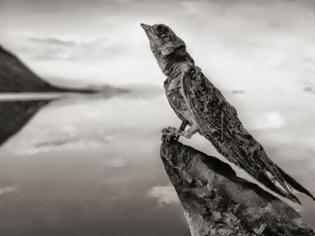 Φωτογραφία για Η λίμνη του θανάτου που ρουφάει τη ζωή σε ό,τι την αγγίξει...