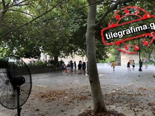 Φωτογραφία για Ο ισχυρός αέρας έκοψε δέντρα στην Αθήνα - Κινδύνευσαν τουρίστες