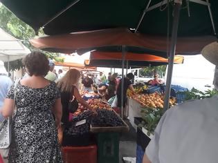 Φωτογραφία για ΣΗΜΕΡΑ: Μια βόλτα στην Λαϊκή Αγορά της ΒΟΝΙΤΣΑΣ (ΦΩΤΟ: Στέλλα Λιάπη)