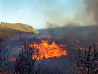 Φωτογραφία για Μυτιλήνη: Έσβησε η φωτιά που ξέσπασε το απόγευμα κοντά στην Αγιάσο