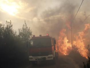 Φωτογραφία για Αλεξανδρούπολη: Συνεχίζεται η μάχη με τις φλόγες στην περιοχή της Λευκίμης