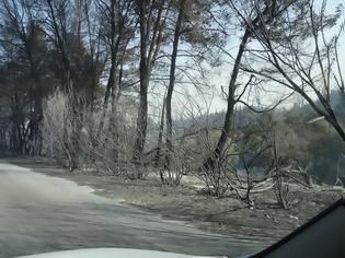 Φωτογραφία για Κρανίου τόπος η επόμενη μέρα στις Βρύσες