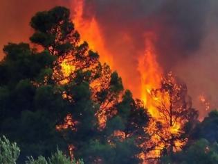 Φωτογραφία για Φθιώτιδα - ΤΩΡΑ: Σε εξέλιξη δυο μεγάλες φωτιές στη Λοκρίδα