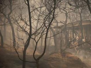 Φωτογραφία για Εικόνες αποκάλυψης στην Κινέτα: Δεν άφησε τίποτα η φωτιά στο Πανόραμα