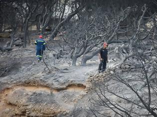 Φωτογραφία για Στους 50 νεκρούς ο επίσημος απολογισμός από τις φωτιές στην Αττική