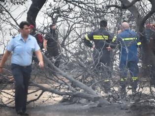 Φωτογραφία για Φωτογραφίες από τη μεγάλη φωτιά της Αττικής: Η απόγνωση των πυροσβεστών μπροστά στις εικόνες φρίκης