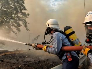 Φωτογραφία για Φωτιά Αττική: Σε κατασκήνωση πληγέντων τα φαγητά της δεξίωσης για την Αποκατάσταση της Δημοκρατίας