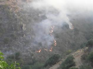 Φωτογραφία για Κρήτη: Σε ύφεση η φωτιά στον Κακόπετρο Χανίων