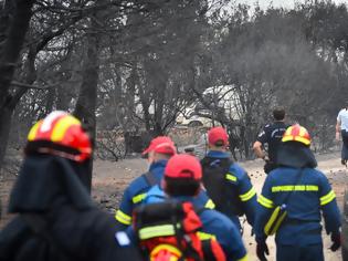 Φωτογραφία για Φωτιά στην Αττική: Σε ένα μήνα η πλήρης αποκατάσταση της ηλεκτροδότησης