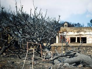 Φωτογραφία για Φωτιά στην Αττική: «Κόκκινα» χαρακτηρίστηκαν 211 σπίτια, 3 εταιρείες και 8 αποθήκες