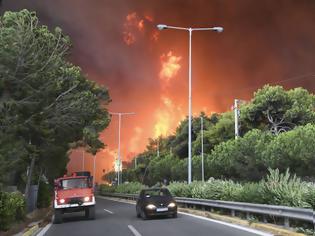 Φωτογραφία για ΠΟΑΞΙΑ προς Αρχηγό: Να φιλοξενήσουμε πυρόπληκτους στις κατασκηνώσεις της ΕΛ.ΑΣ στον Αγ. Ανδρέα