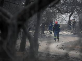 Φωτογραφία για Η σοκαριστική αλήθεια για τις φωτιές που καθηλώνει από τον καθηγητή Νίκο Μάργαρη