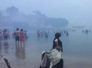 Φωτογραφία για Οι αρχές δεν αξιοποίησαν ούτε το διαδίκτυο ούτε την ευρωπαϊκή γραμμή 112 για τις πυρκαγιές