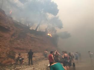 Φωτογραφία για Ανακοίνωση της ΑΝΕΑΔ για τη φονική πυρκαγιά της Αττικής