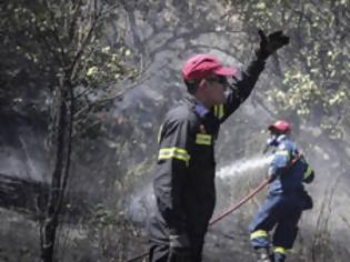 Φωτογραφία για Αποκάλυψη CNN Greece: Παραλίγο 500 οδηγοί νεκροί από τη φωτιά – η σωτήρια κίνηση της ΕΛ.ΑΣ