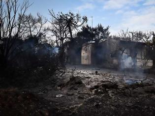 Φωτογραφία για Πάνω από 60 συγγενείς αγνοουμένων έχουν δώσει δείγματα DNA